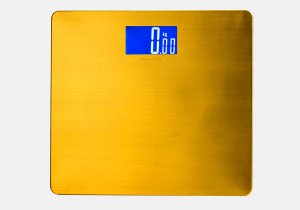 Stainless Steel Platform Personal Scale with Digital LCD Display